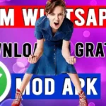 FM WhatsApp (FM WA) Mod Apk Download versi Update