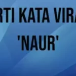 Arti Kata Naur, Istilah Slang Ngetrend di TikTok & Twitter