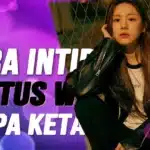 Intip Status WhatsApp Tanpa Ketahuan