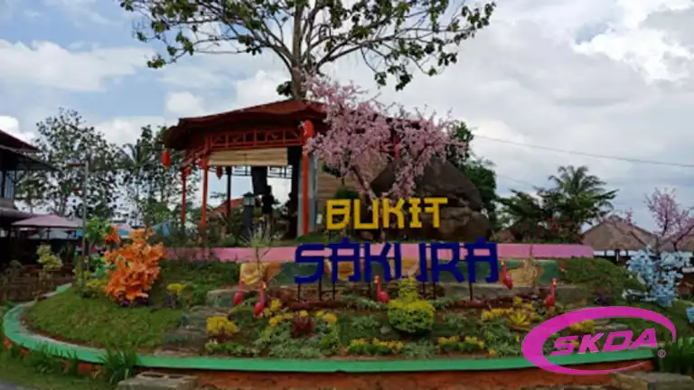 bukit sakura lampung