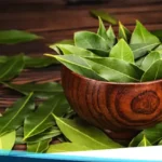 Kegunaan Daun Salam untuk Kesehatan dan Dalam Masakan