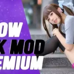 SNOW Apk Premium